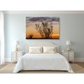 CANVAS PRINT TREE BRANCHES IN THE SUNSET - PICTURES OF NATURE AND LANDSCAPE - PICTURES