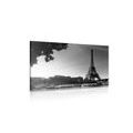 CANVAS PRINT AUTUMN PARIS IN BLACK AND WHITE - BLACK AND WHITE PICTURES - PICTURES