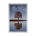 POSTER STARRY SKY ABOVE A LONELY TREE - NATURE - POSTERS