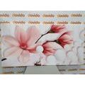 CANVAS PRINT MAGNOLIA WITH ABSTRACT ELEMENTS - PICTURES FLOWERS - PICTURES