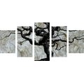 IMPRESSION SUR TOILE EN 5 PARTIES ARBRE ABSTRAIT SUR BOIS - IMPRESSIONS SUR TOILE ARBRES ET FEUILLES - IMPRESSION SUR TOILE