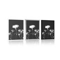 POSTER ELEGANT BLACK AND WHITE FLOWERS - BLACK AND WHITE - POSTERS