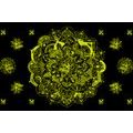 SELF ADHESIVE WALLPAPER YELLOW MANDALA - SELF-ADHESIVE WALLPAPERS - WALLPAPERS