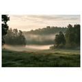 TABLEAU SUR TOILE – MATIN BRUMEUX AU-DESSUS D’UNE PRAIRIE - TABLEAUX DE CHAMPS ET PRAIRIES - TABLEAUX