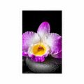 POSTER WITH MOUNT PURPLE ORCHID ON ZEN STONES - FENG SHUI - POSTERS