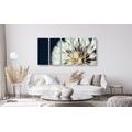 5-PIECE CANVAS PRINT DANDELION ON A DARK BACKGROUND - PICTURES FLOWERS - PICTURES