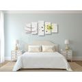 5-PIECE CANVAS PRINT LILY AND MASSAGE STONES IN WHITE DESIGN - PICTURES FENG SHUI - PICTURES