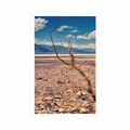 POSTER ARID LANDSCAPE - NATURE - POSTERS