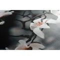 CANVAS PRINT AWAKENING MAGNOLIA - PICTURES FLOWERS - PICTURES