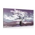 CANVAS PRINT TREE ENGULFED BY CLOUDS - PICTURES OF NATURE AND LANDSCAPE - PICTURES