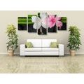 5-PIECE CANVAS PRINT WELLNESS STILL LIFE - PICTURES FENG SHUI - PICTURES