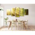 5-PIECE CANVAS PRINT SUN RAYS IN THE FOREST - PICTURES OF NATURE AND LANDSCAPE - PICTURES