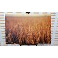 CANVAS PRINT GRAIN FIELD - PICTURES OF NATURE AND LANDSCAPE - PICTURES