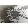 CANVAS PRINT MINIMALIST LEAFY TREE - PICTURES OF TREES AND LEAVES - PICTURES
