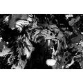 CANVAS PRINT LION'S HEAD IN BLACK AND WHITE - BLACK AND WHITE PICTURES - PICTURES