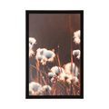 POSTER COTTON GRASS - NATURE - POSTERS