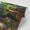 FOTOTAPETE WASSERFALL IM WALD - TAPETEN MIT NATURMOTIVEN - TAPETEN