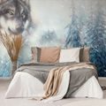 WALLPAPER OWOLF IN A SNOWY LANDSCAPE - WALLPAPERS ANIMALS - WALLPAPERS