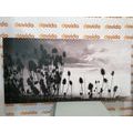 CANVAS PRINT GRASS BLADES ON A FIELD IN BLACK AND WHITE - BLACK AND WHITE PICTURES - PICTURES