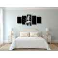 5-PIECE CANVAS PRINT BUDDHA STATUE IN BLACK AND WHITE - BLACK AND WHITE PICTURES - PICTURES