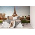 WALL MURAL FAMOUS EIFFEL TOWER - WALLPAPERS CITIES - WALLPAPERS