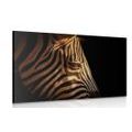CANVAS PRINT PORTRAIT OF A ZEBRA - PICTURES OF ANIMALS{% if product.category.pathNames[0] != product.category.name %} - PICTURES{% endif %}