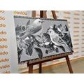 CANVAS PRINT BLACK AND WHITE BIRDS AND FLOWERS IN A VINTAGE DESIGN - BLACK AND WHITE PICTURES - PICTURES