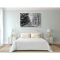 CANVAS PRINT AUTUMN AVENUE OF TREES IN BLACK AND WHITE - BLACK AND WHITE PICTURES - PICTURES