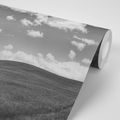 WALL MURAL BEAUTIFUL DAY ON THE MEADOW IN BLACK AND WHITE - BLACK AND WHITE WALLPAPERS - WALLPAPERS