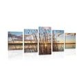 5-PIECE CANVAS PRINT PEACEFUL RIVER BY THE VILLAGE - PICTURES OF NATURE AND LANDSCAPE - PICTURES