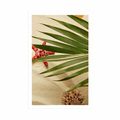 POSTER SEASHIELLS UNDER PALM LEAVES - STILL LIFE - POSTERS