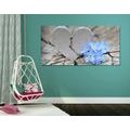 CANVAS PRINT HEART ON AN OLD WOOD - STILL LIFE PICTURES - PICTURES