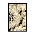 AFFICHE FLEURS DE DAHLIA DANS UN DESIGN SÉPIA - NOIR ET BLANC - AFFICHES