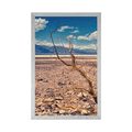 POSTER ARID LANDSCAPE - NATURE - POSTERS