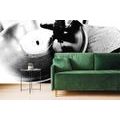 WALL MURAL BLACK AND WHITE ANTIQUE GRAMOPHONE - BLACK AND WHITE WALLPAPERS - WALLPAPERS