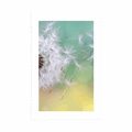 POSTER WITH MOUNT MAGICAL DANDELION - FLOWERS - POSTERS