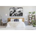 CANVAS PRINT FIELD OF WILD POPPIES IN BLACK AND WHITE - BLACK AND WHITE PICTURES - PICTURES