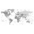 CANVAS PRINT GRAY MAP ON A WHITE BACKGROUND - PICTURES OF MAPS - PICTURES