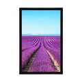 POSTER ENDLESS LAVENDER FIELD - NATURE - POSTERS