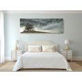 CANVAS PRINT LONELY TREES - PICTURES OF NATURE AND LANDSCAPE - PICTURES