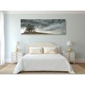 TABLEAU SUR TOILE – ARBRES SOLITAIRES - TABLEAUX DE LA NATURE ET DES PAYSAGES - TABLEAUX