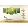 5-PIECE CANVAS PRINT MORNING DEW - PICTURES OF NATURE AND LANDSCAPE - PICTURES