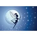 CANVAS PRINT FAIRY IN THE MOONLIGHT - CHILDRENS PICTURES - PICTURES