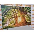 TABLEAU SUR TOILE – ARBRES MAJESTUEUX - TABLEAUX DE LA NATURE ET DES PAYSAGES - TABLEAUX