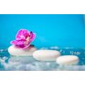 SELF ADHESIVE WALL MURAL ORCHID AND ZEN STONES - SELF-ADHESIVE WALLPAPERS - WALLPAPERS