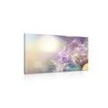 CANVAS PRINT DETAILED VIEW OF A DANDELION - PICTURES FLOWERS - PICTURES