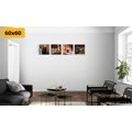 CANVAS PRINT SET DRINKS WITH TASTY SNACKS - SET OF PICTURES - PICTURES