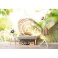 TAPETE SCHLAFENDER BUDDHA - TAPETEN MIT FENG SHUI-MOTIVEN - TAPETEN