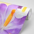 SELF ADHESIVE WALLPAPER FLOWER WITH A SPRING TOUCH - SELF-ADHESIVE WALLPAPERS - WALLPAPERS