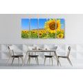 5-TEILIGES WANDBILD FELD MIT SONNENBLUMEN - BILDER BLUMEN - BILDER